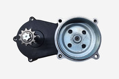 Drive System for FX40-Ogemaw Dirt Bike-5